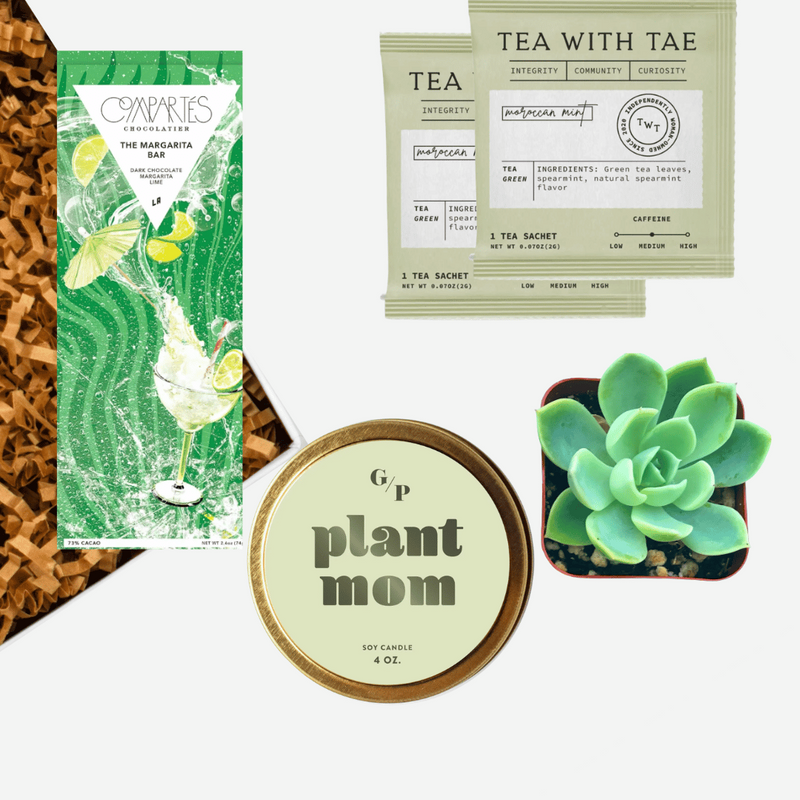 Mother's Day Boxes - Purple or Plants