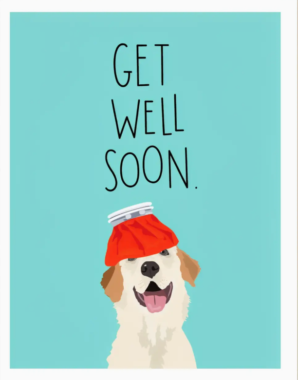 Ice Pack Dog - Get Well