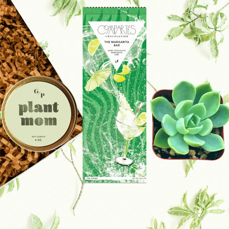 Mother's Day Boxes - Love You Mom or Plant Mom